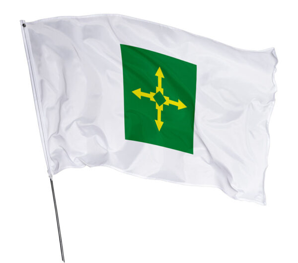 Bandeira Estado Distrito Federal Em Tecido Oxford