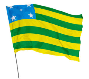 Bandeira Estado Goiás Em Tecido Oxford