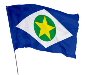Bandeira Estado Mato Grosso Em Tecido Oxford