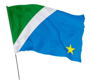 Bandeira Estado Mato Grosso do Sul Em Tecido Oxford