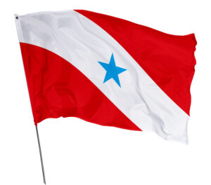 Bandeira Estado Pará Em Tecido Oxford