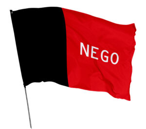 Bandeira Estado Paraiba Em Tecido Oxford