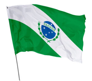 Bandeira Estado Paraná Em Tecido Oxford
