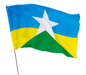 Bandeira Estado Rondônia Em Tecido Oxford