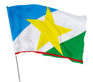Bandeira Estado Roraima Em Tecido Oxford