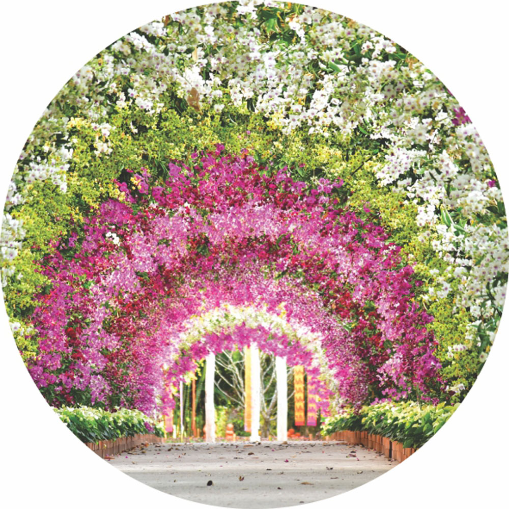 Painel Redondo 3D Jardim Tecido Sublimado