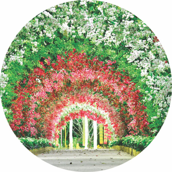 Painel Redondo 3D Jardim Tecido Sublimado