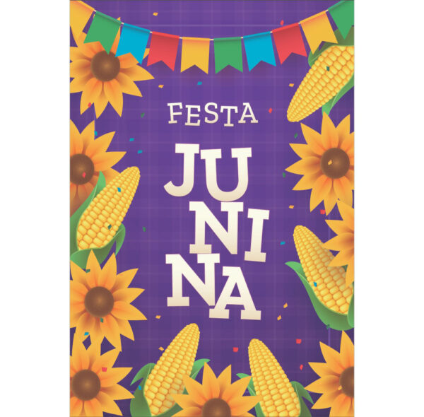 Painel de Festa Retangular 3D Festa Junina Casadinho 1,50m x 2,20m