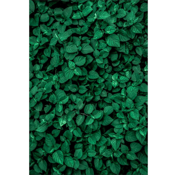 Painel de Festa Retangular 3D Muro Inglês Verde Escuro Casadinho 1,50m x 2,20m