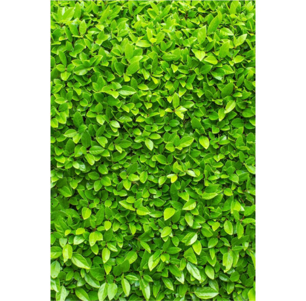 Painel de Festa Retangular 3D Muro Inglês Verde Claro Casadinho 1,50m x 2,20m