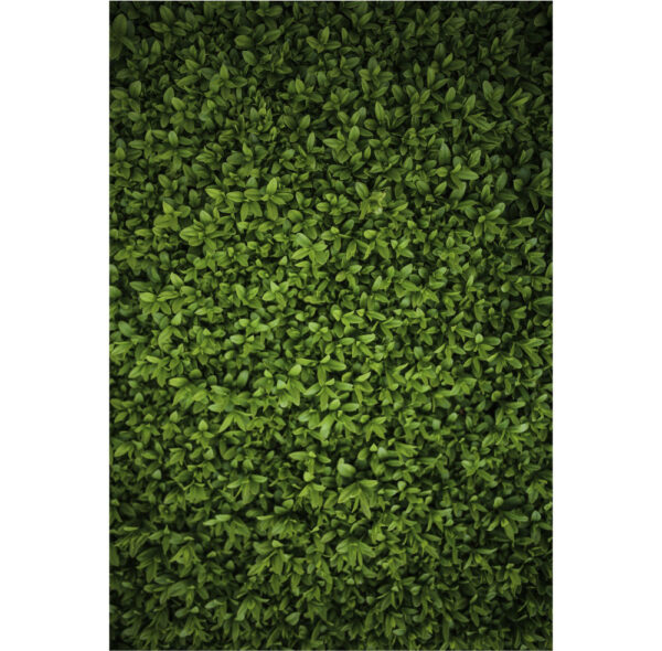 Painel de Festa Retangular 3D Muro Inglês Casadinho 1,50m x 2,20m
