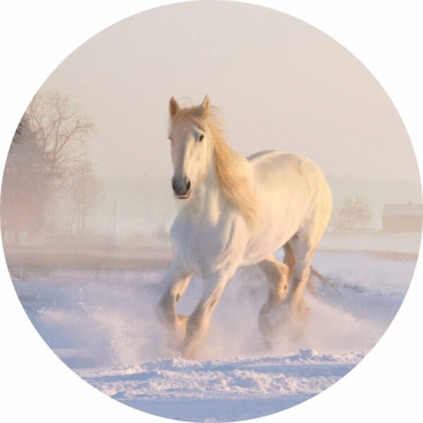 Painel Redondo 3D Cavalo Branco Tecido Sublimado