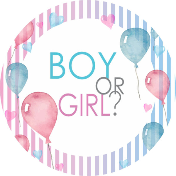 Painel Redondo 3D Chá Revelação Boy ou Girl Tecido Sublimado