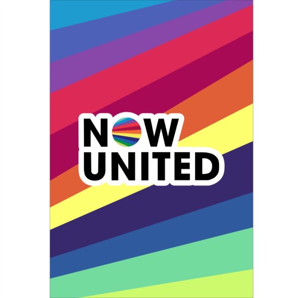 Painel de Festa Retangular 3D Now United Casadinho 1,50m x 2,20m