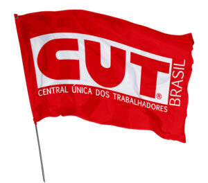 Bandeira Cut Brasil Em Tecido Oxford