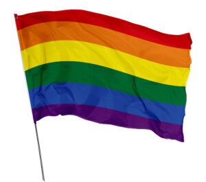 Bandeira Lgbt Em Tecido Oxford