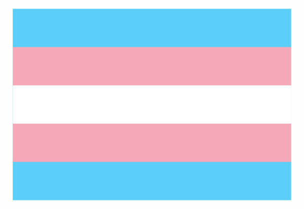 Bandeira Transgênero Em Tecido Oxford - Image 2
