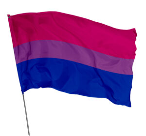 Bandeira Bissexual Em Tecido Oxford