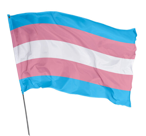Bandeira Transgênero Em Tecido Oxford