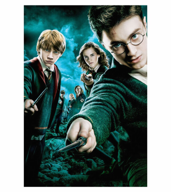 Painel de Festa Retangular 3D Harry Potter Casadinho 1,50m x 2,20