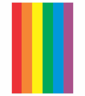 Painel de Festa Retangular 3D Lgbt  Casadinho 1,50m x 2,20