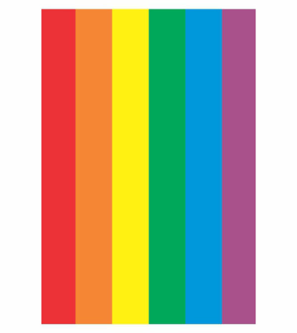 Painel de Festa Retangular 3D Lgbt  Casadinho 1,50m x 2,20