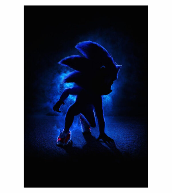 Painel de Festa Retangular 3D Sonic Casadinho 1,50m x 2,20