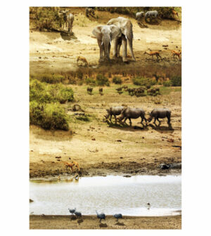 Painel de Festa Retangular 3D Safari Casadinho 1,50m x 2,20