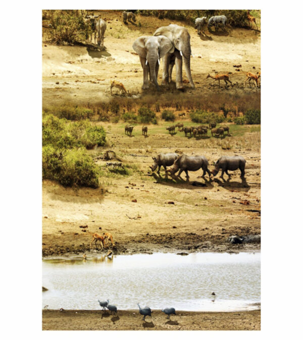 Painel de Festa Retangular 3D Safari Casadinho 1,50m x 2,20