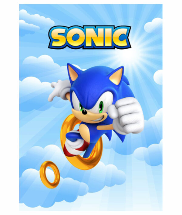 Painel de Festa Retangular 3D Sonic Casadinho 1,50m x 2,20