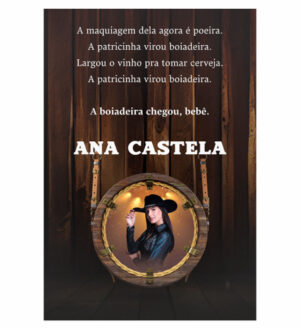 Painel de Festa Retangular 3D Ana Castela casadinho 1,50m x 2,20