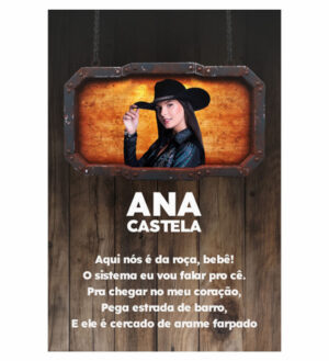 Painel de Festa Retangular 3D Ana Castela casadinho 1,50m x 2,20