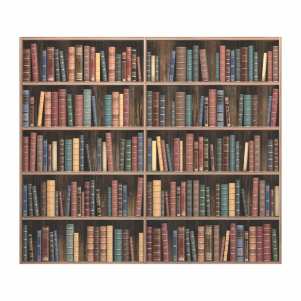 Fundo Fotográfico Cenário Biblioteca Tecido 2,2m x1,5m F180 - Image 3
