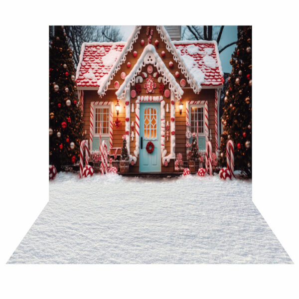 Fundo Fotográfico Cenário Natal Casa em Tecido 2,20m x1,50m F124