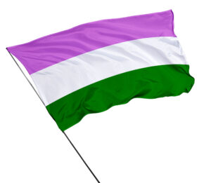 Bandeira Gênero Queer Em Tecido 1,50m X 1,0m LGBT
