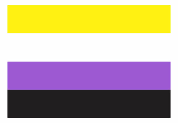 Bandeira Não Binaria Em Tecido 1,50m X 1,0m LGBT - Image 2