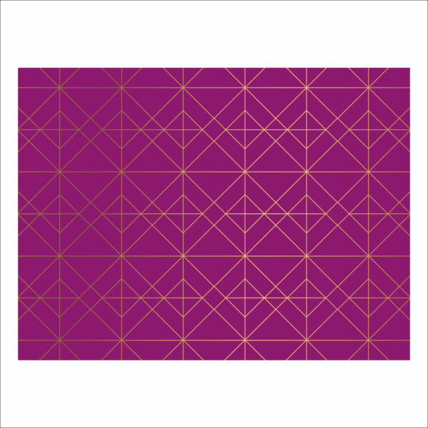 Fundo Fotográfico Geométrico Rosa em Tecido 2,20m x1,50m F473 - Image 3
