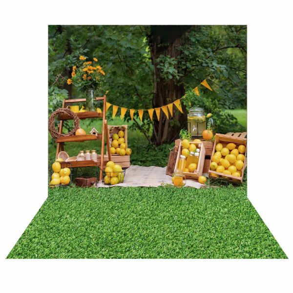 Fundo Fotográfico Limonada Jardim Frutas 2,20m x1,50m F607