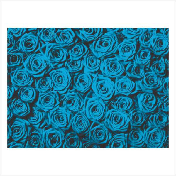 Fundo Fotográfico Cenário Textura Rosas Azul Tecido 2,20m x1,50m F505 - Image 3