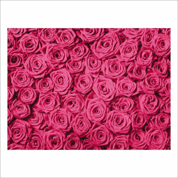 Fundo Fotográfico Cenário Textura Rosas Tecido 2,20m x1,50m F504 - Image 3