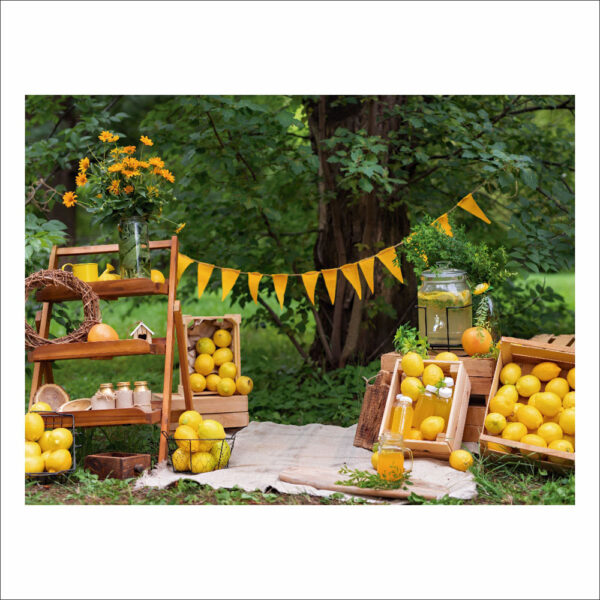Fundo Fotográfico Limonada Jardim Frutas 2,20m x1,50m F607 - Image 3