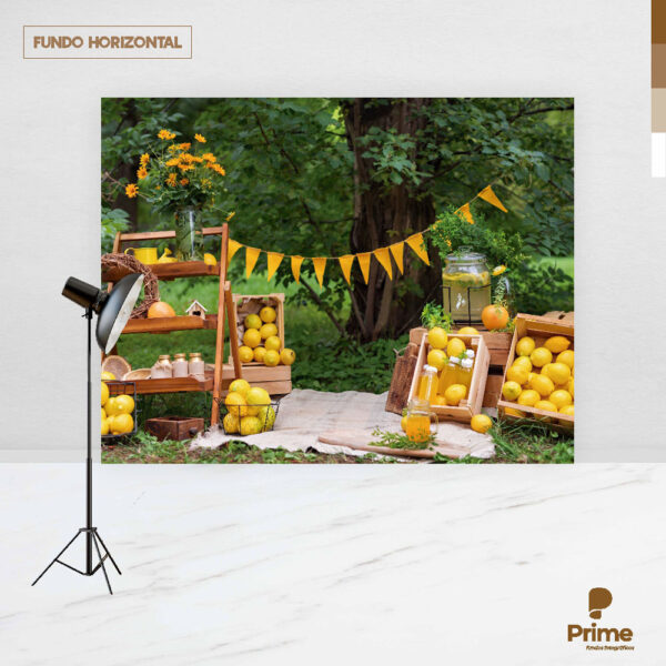 Fundo Fotográfico Limonada Jardim Frutas 2,20m x1,50m F607 - Image 4