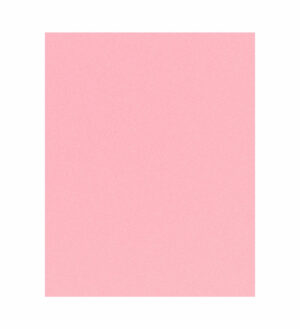Painel de Festa Retangular 3D Rosa Bebe casadinho 1,75m x 2,20 Cor Lisa Tecido