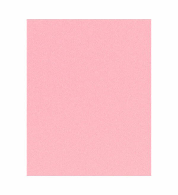 Painel de Festa Retangular 3D Rosa Bebe casadinho 1,75m x 2,20 Cor Lisa Tecido