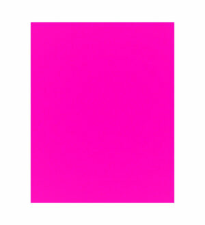 Painel de Festa Retangular 3D Rosa Fluorescente  casadinho 1,75m x 2,20 Cor Lisa Tecido