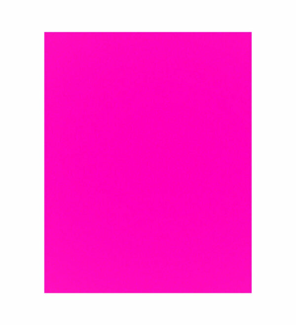 Painel de Festa Retangular 3D Rosa Fluorescente  casadinho 1,75m x 2,20 Cor Lisa Tecido