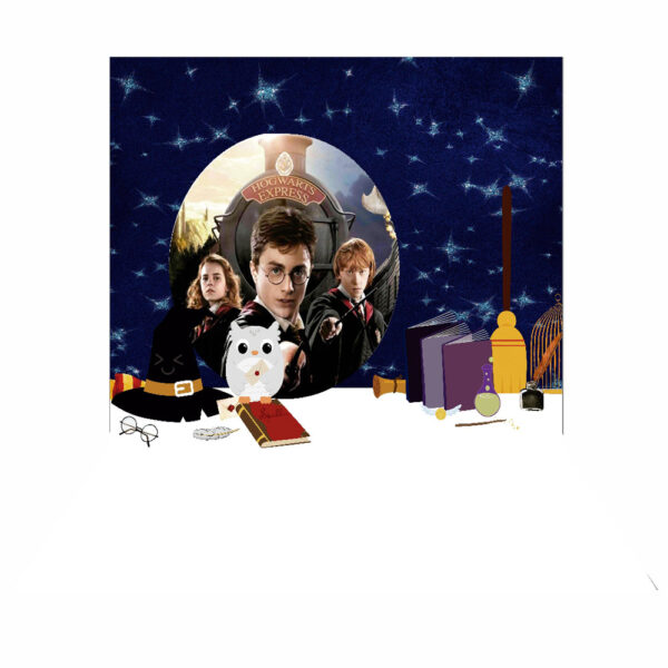 Fundo Fotográfico Cenário Harry Potter 2,20m x1,50m F69