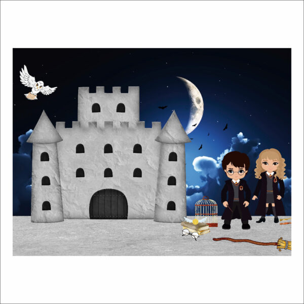 Fundo Fotográfico Cenário Harry Potter 2,20m x1,50m F698 - Image 3