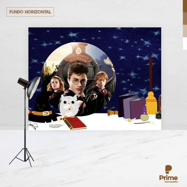 Fundo Fotográfico Cenário Harry Potter 2,20m x1,50m F69 - Image 4
