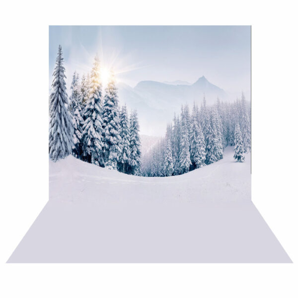 Fundo Fotográfico Cenário Floresta Neve  em Tecido 2,20m x1,50m F581